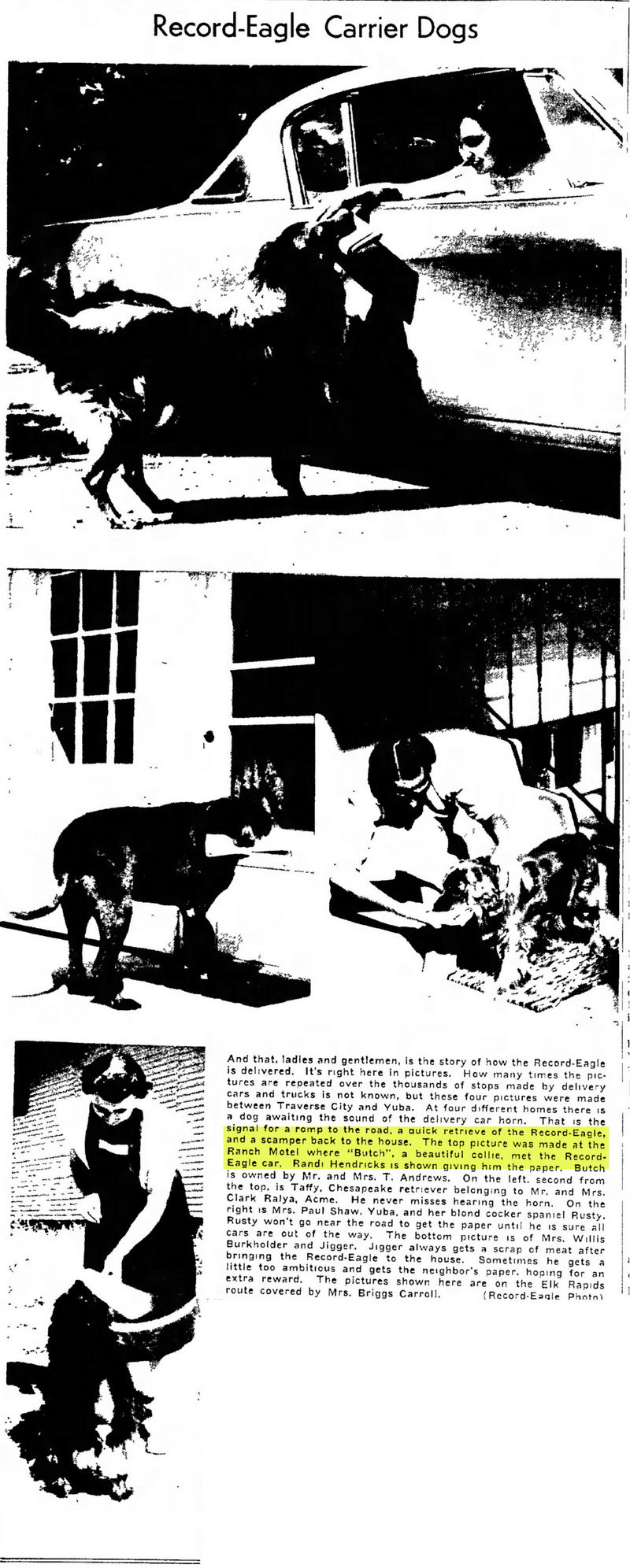 The Ranch Motel - Aug  1954 Article On The Motel And Dog